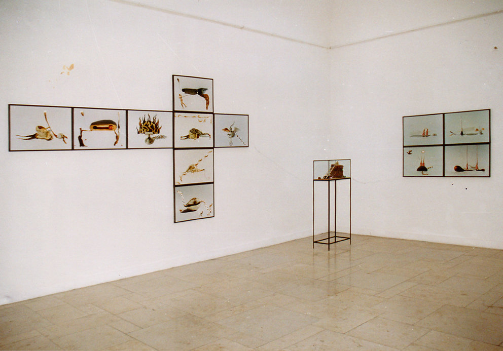 Ausstellung "contrapartida",UdK Berlin, 1998 